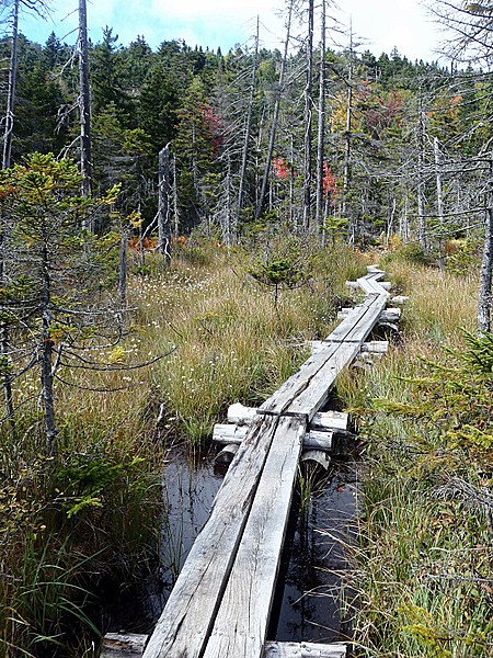 Bog Bridge