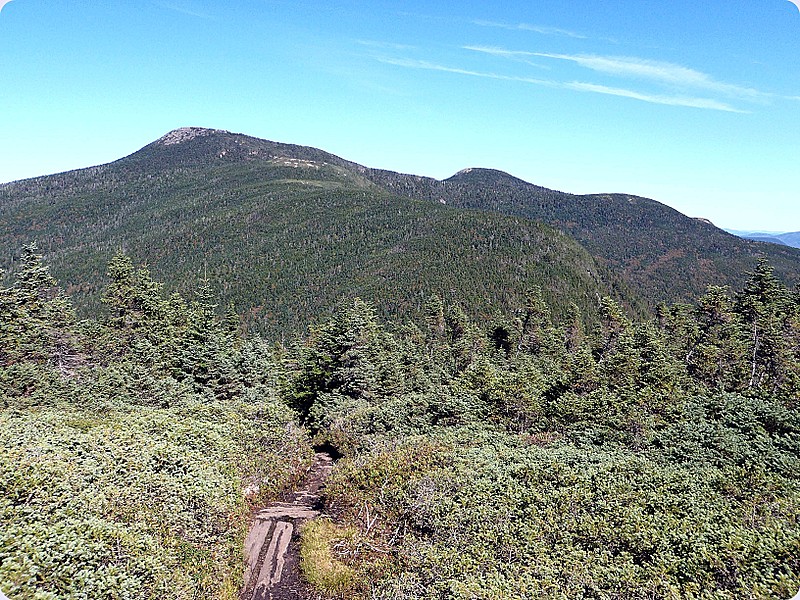 Goose Eye Peaks from Meadow