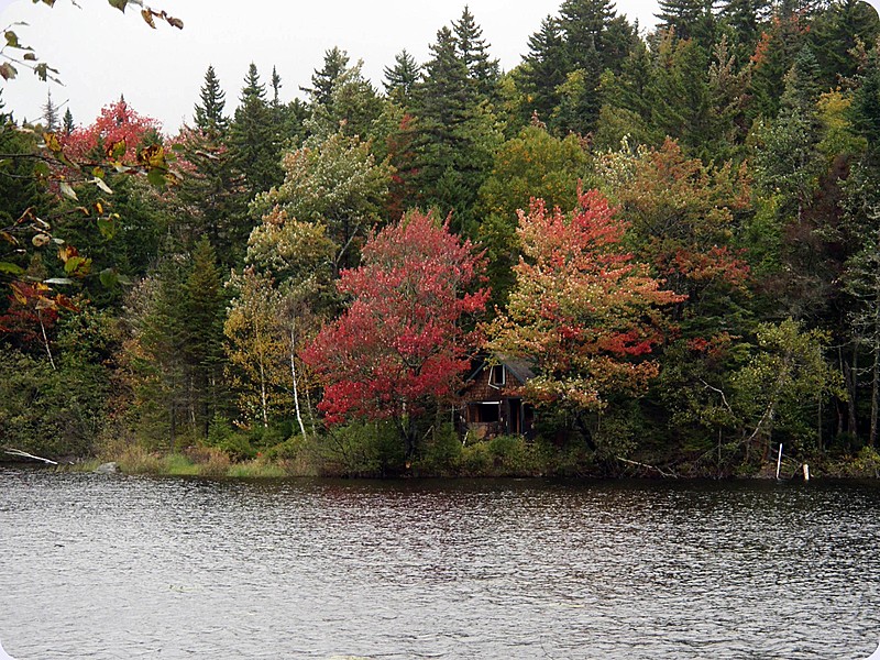 Ramshackle Shack on Surplus Pond