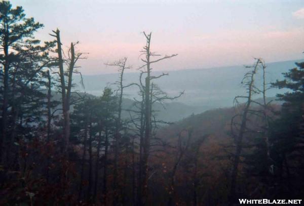 Sunrise over Trout Creek Valley