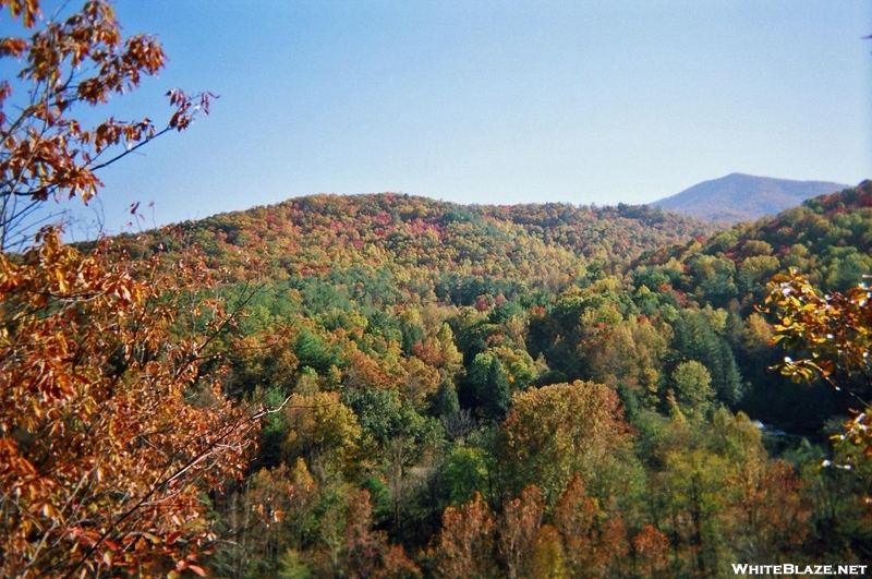 Fall Colors Outside Erwin