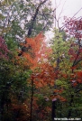 Fall Colors in Central Virginia by Kerosene in Trail & Blazes in Virginia & West Virginia