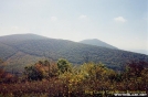 Old Stone Fence Lines in Hog Camp Gap