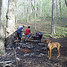 Hiking A.T. by George L Spivey Jr in Section Hikers