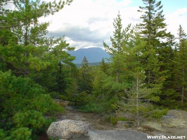 Katahdin through the trees