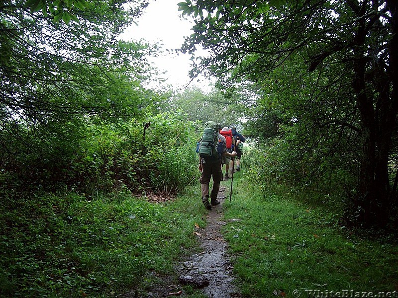 Leaving Lewis Fork Wilderness Area