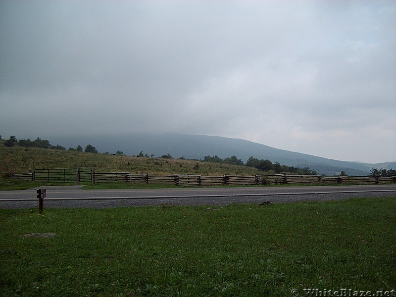 Elk Garden View