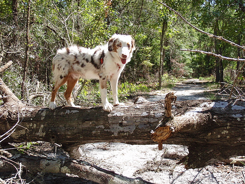 Andy 1st hike