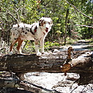 Andy 1st hike