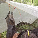 Drying the Bridgedales.