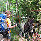 Owlet and a pony