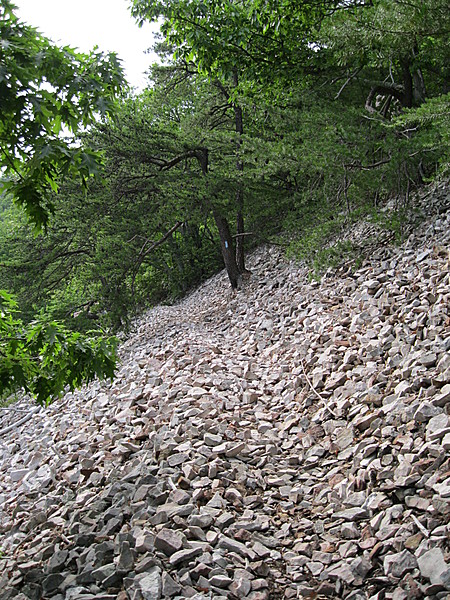 Austin Mt. Trail, SNP