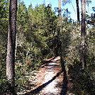 2012-02-13 10.08.57 by treesloth in Florida Trail