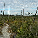 2012-02-13 15.52.38 by treesloth in Florida Trail