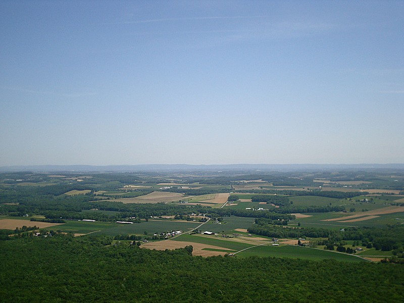 Bake oven knob