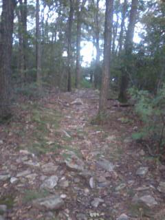 Bake oven knob