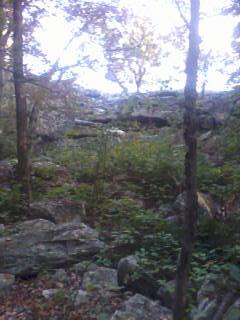 bake oven knob