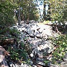 Bake oven knob