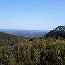 Bake oven knob