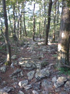 Bake oven knob