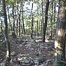 Bake oven knob