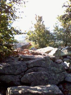 Bake oven knob