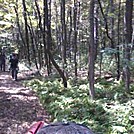 Bake oven knob