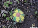 Painted Rock by Youngblood in Views in Georgia