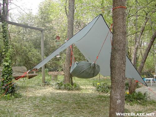 Hammock Tarptent  High pitch