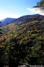 Painted Leaves by Magnet in Views in Maine