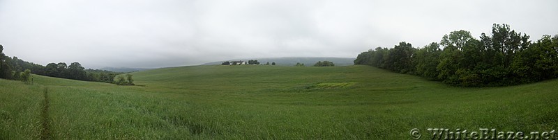 Panorama shot