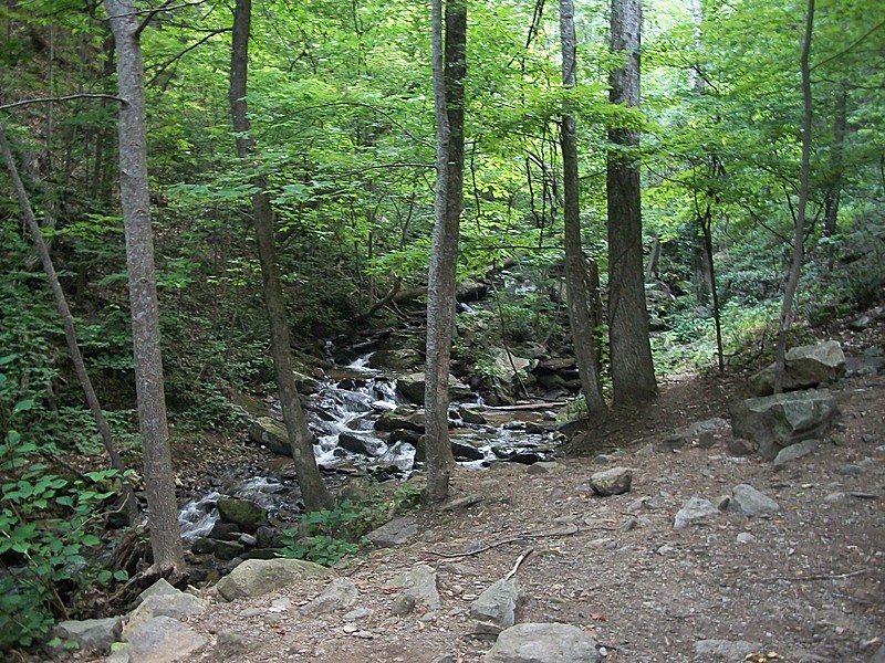 Amicalola Falls SP