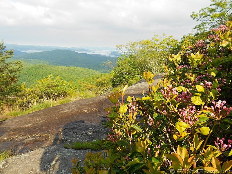 North bound on Blood mountain past the summit