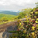 North bound on Blood mountain past the summit by Suckerfish in Trail & Blazes in Georgia