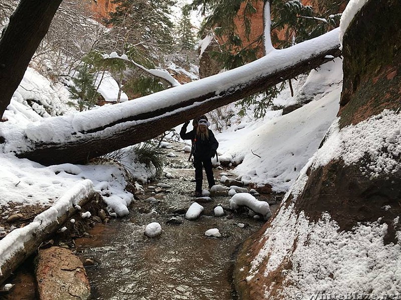 Winter Hiking in Utah: