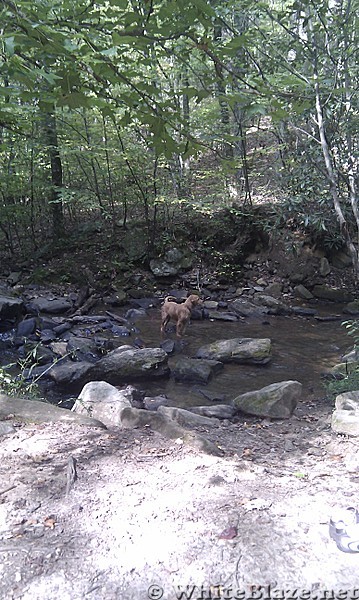 Amicalola Falls