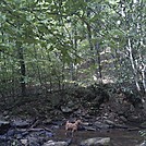 Amicalola Falls