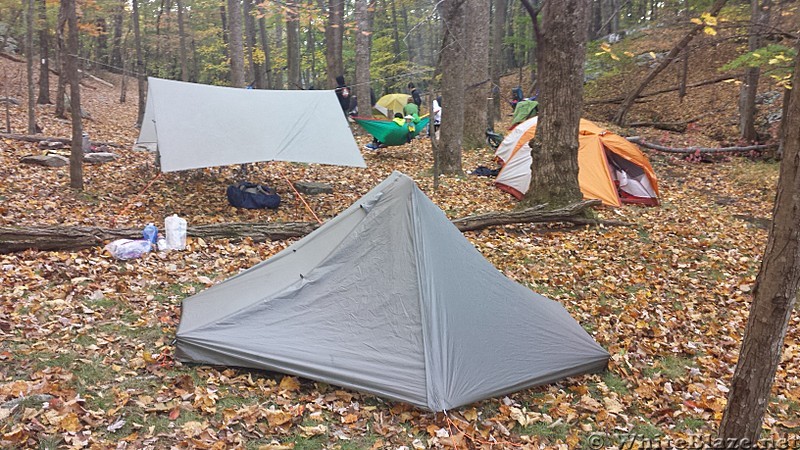 Lambert's Meadow Campsite  VA