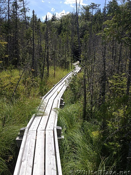 ME Bog Bridge