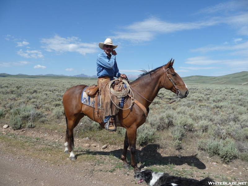 Montana Cowboy