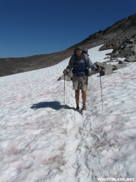 Packwood Glacier