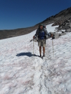 Packwood Glacier by Lucy Lulu in Other