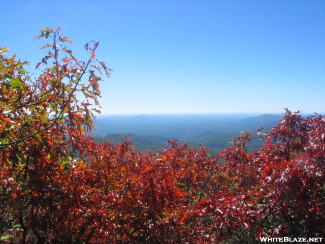 Tray Mtn GA