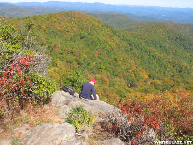 Tray Mtn GA