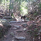 Henna on the trail.