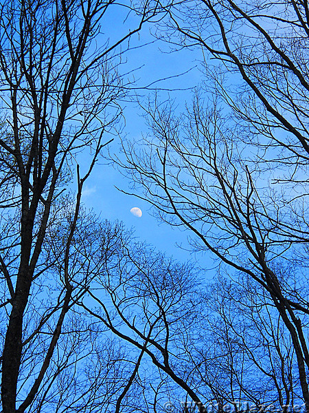 Dusk at Campground 113 in GSMNP