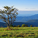 View from summit of Cold Mtn by Mushroom_Mouse in Views in Virginia & West Virginia