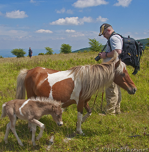 Mike and Ponies at Grayson Highlands