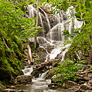 Lower Doyles River Falls in SNP Near AT by Mushroom_Mouse in Views in Virginia & West Virginia