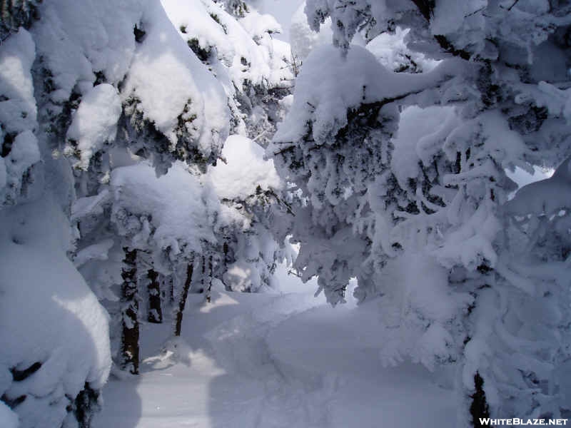 long trail near abraham